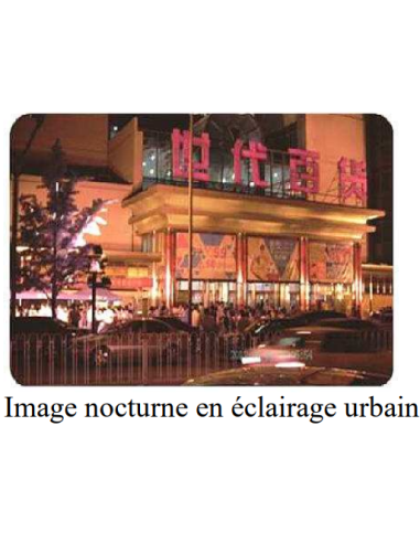 CAMERA PIETON S20-4G