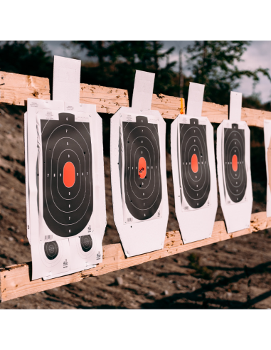 LOT/100 CIBLES A 25 METRES TOUT-TEMPS 35 x 40CM