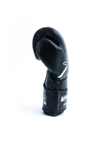 PAIRE DE GANTS SPARRING