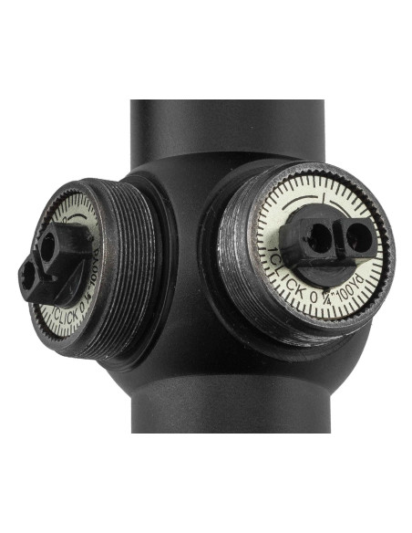 CARABINE BLACK BEAR + LUNETTE 4x32 WR