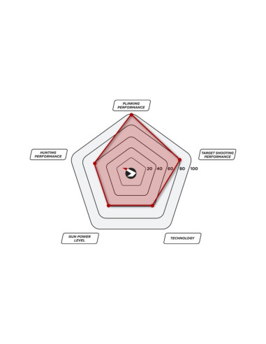 CARABINE BLACK BEAR + LUNETTE 4x32 WR