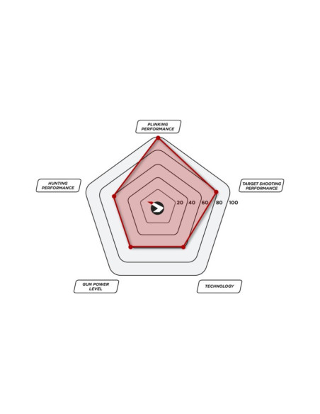 CARABINE BLACK BEAR + LUNETTE 4x32 WR