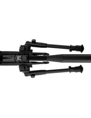 CARABINE HPA IGT AVEC LUNETTE 3-9 x 40 WR ET...