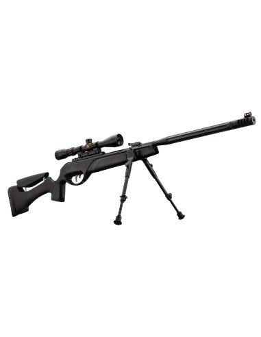 CARABINE HPA IGT AVEC LUNETTE 3-9 x 40 WR ET...