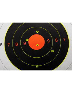 LOT DE 5 CIBLES AVEC 10 BULL'S EYES 2