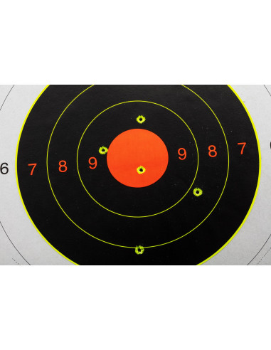 LOT DE 5 CIBLES AVEC 10 BULL'S EYES