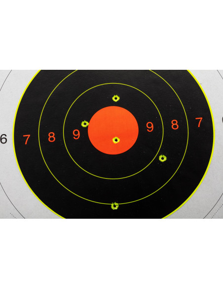 LOT DE 5 CIBLES AVEC 10 BULL'S EYES