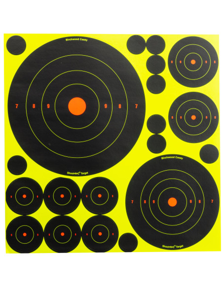 LOT DE 5 CIBLES AVEC 10 BULL'S EYES