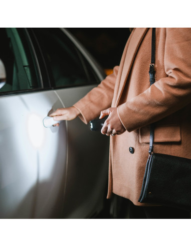 SHOCKER ELECTRIQUE AVEC LAMPE