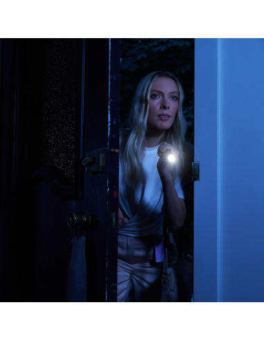 SHOCKER ELECTRIQUE 2 en 1