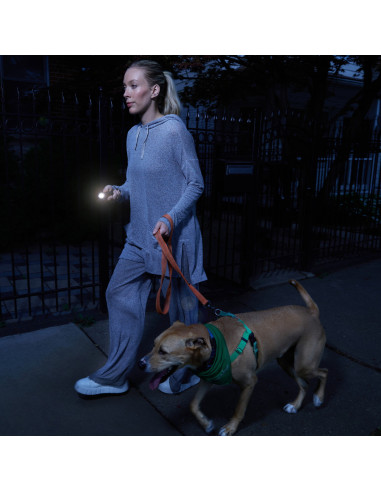 SHOCKER ELECTRIQUE 2 en 1