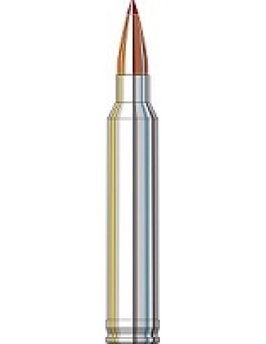 CARTOUCHES .300 WIN MAG GR CX 180gr x20