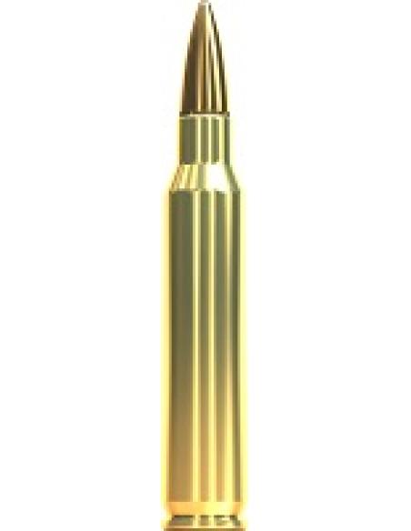 CARTOUCHES SB .223 REM FMJ 55gr x100