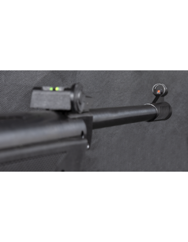 CARABINE A PLOMBS B1-4P 10J