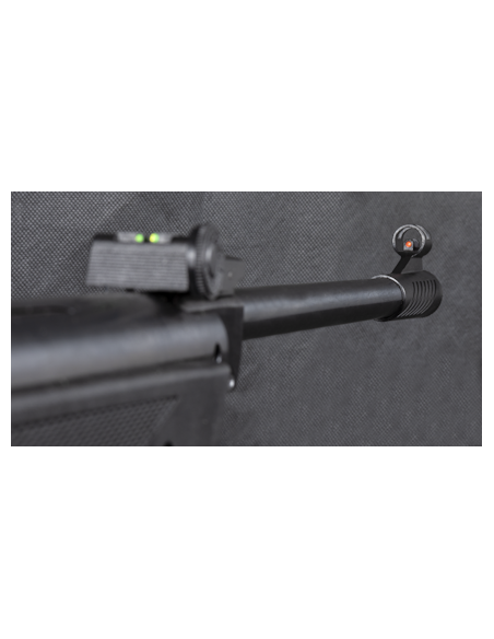 CARABINE A PLOMBS B1-4P 10J