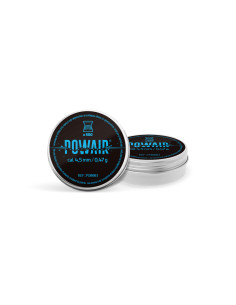 BOITE DE PLOMBS PLATS POWAIR 4.5mm (x500)