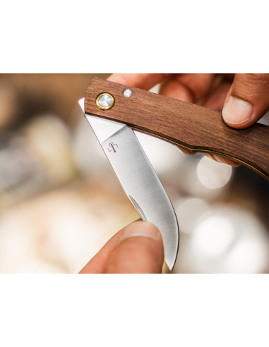 RUSTICUS MEDIUM HETRE