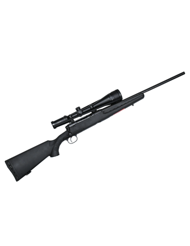CARABINE SAVAGE AXIS Cal.308 win + LUNETTE HAWKE
