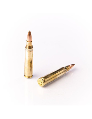 CARTOUCHES FIOCCHI FMJ 223 REM. 55gr x50
