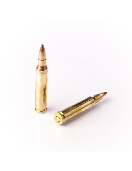 CARTOUCHES FIOCCHI FMJ 223 REM. 55gr x50