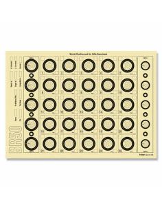 CIBLES BENCHREST BR 50 x100