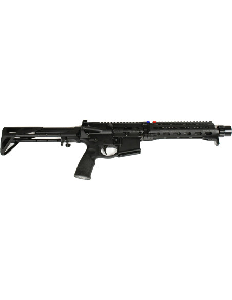 CARABINE DANIEL DEFENSE PDW Cal.300BLK + MUNITIONS ( occasion )