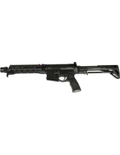 CARABINE DANIEL DEFENSE PDW Cal.300BLK + MUNITIONS (... 2