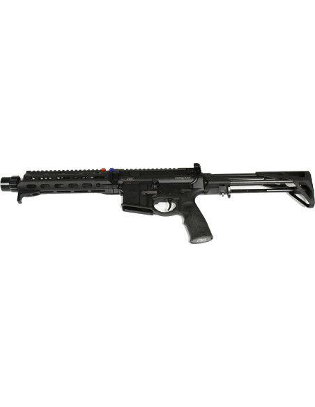 CARABINE DANIEL DEFENSE PDW Cal.300BLK + MUNITIONS ( occasion )