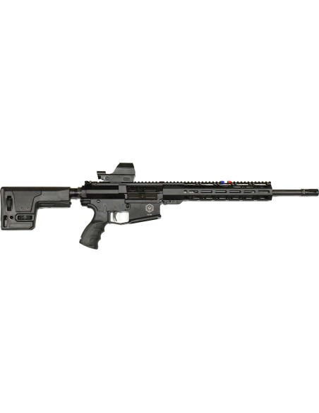 CARABINE VCD10 + POINT ROUGE + 3 CHARGEURS Cal.308win ( occasion )