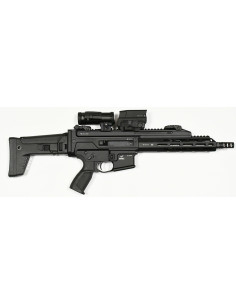 CARABINE PERUN X16 LEGACY ARMEMENT Cal.300 BLK + AMG UH1...