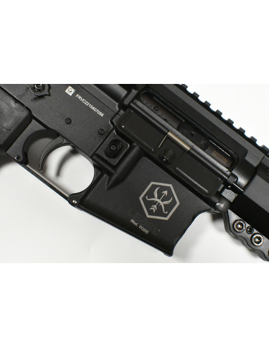 CARABINE LEBEL VCD15 + 10 CHARGEURS CAL.223 (...