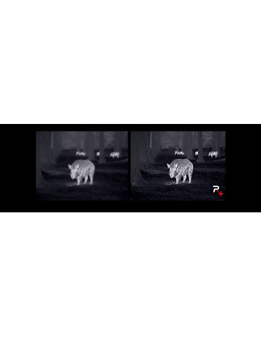 MONOCULAIRE THERMIQUE LUMI L19