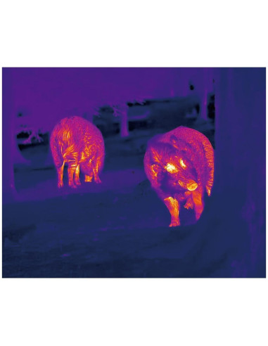 MONOCULAIRE THERMIQUE LUMI H35R LRF