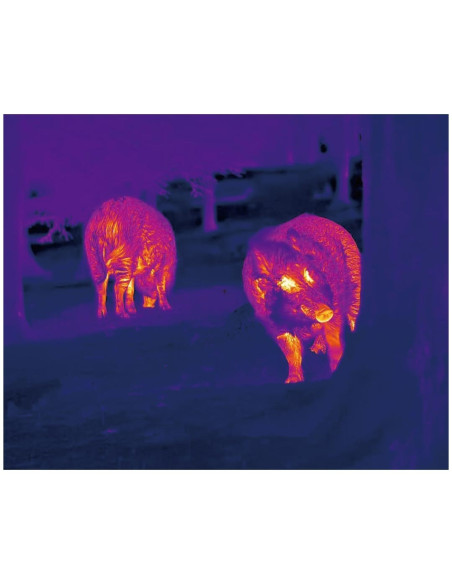 MONOCULAIRE THERMIQUE LUMI H35R LRF