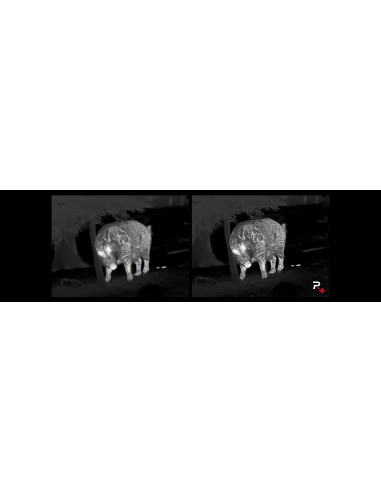 LUNETTE THERMIQUE ACE Rail Mount H50R LRF