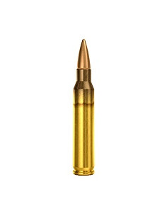 CARTOUCHES MAGTECH .223 55gr FMJ x50 2