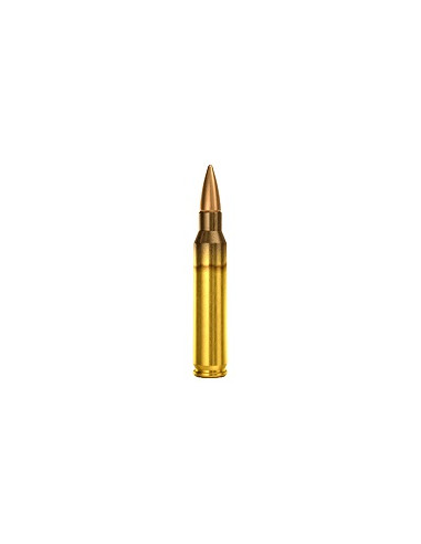 CARTOUCHES MAGTECH .223 55gr FMJ x50