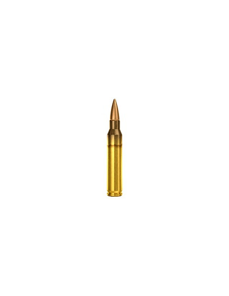 CARTOUCHES MAGTECH .223 55gr FMJ x50