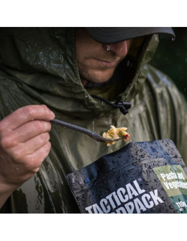 PETIT DEJEUNER FLOCONS D'AVOINE AUX POMMES