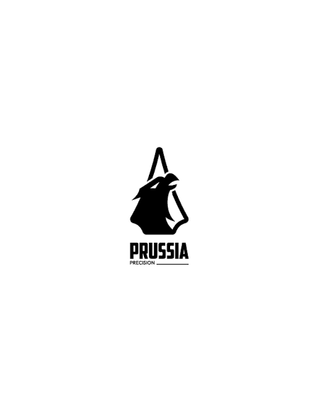 PRUSSIAN PRECISION